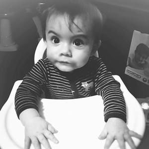 Meet your Posher, Harley